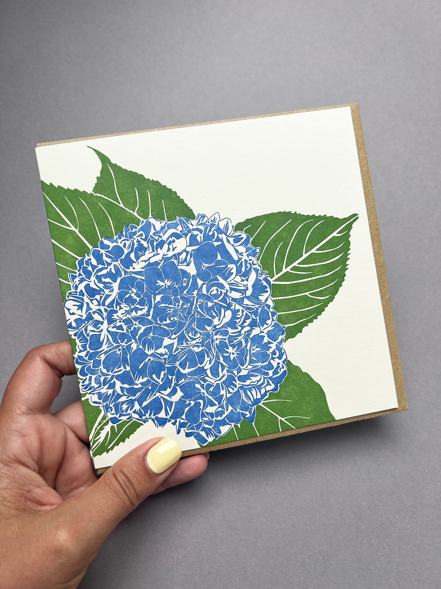 Blue Hydrangea Letterpress Card