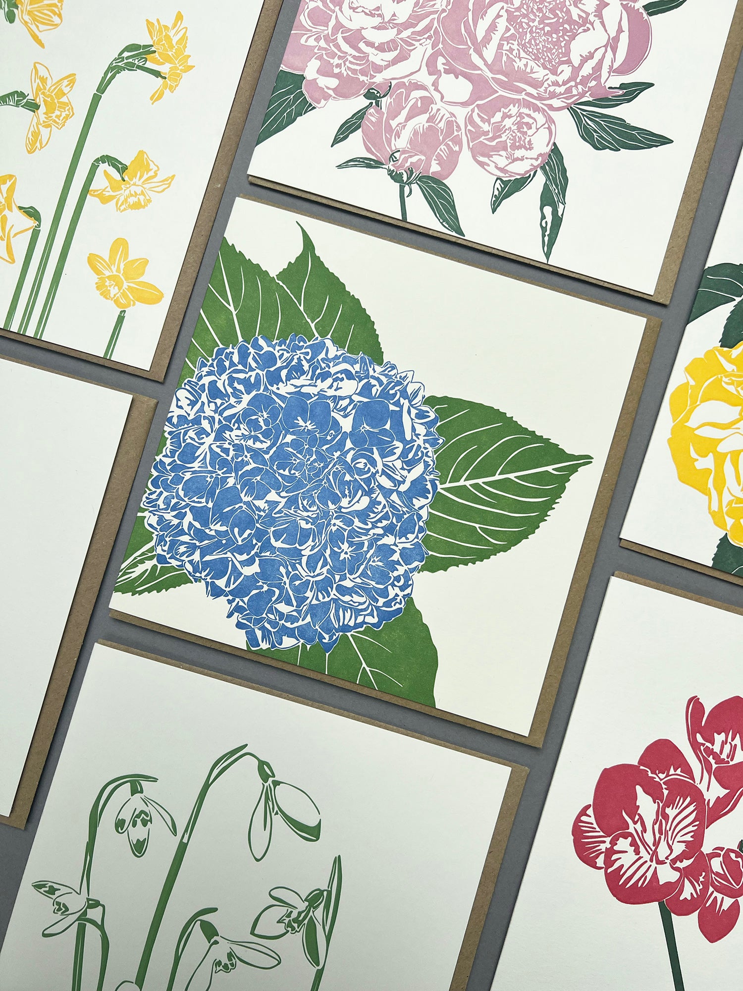 Blue Hydrangea Letterpress Card