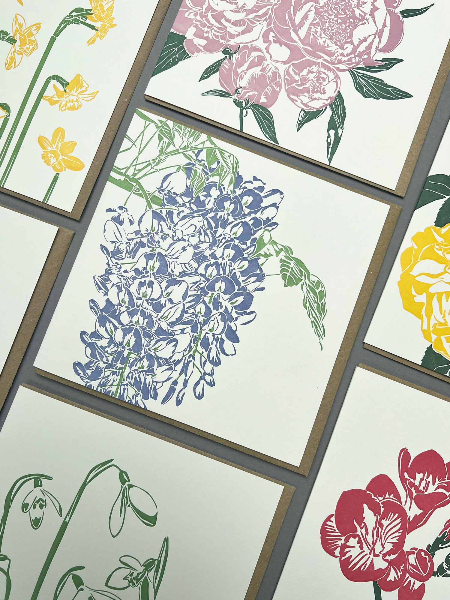 Blue Wisteria Letterpress Card