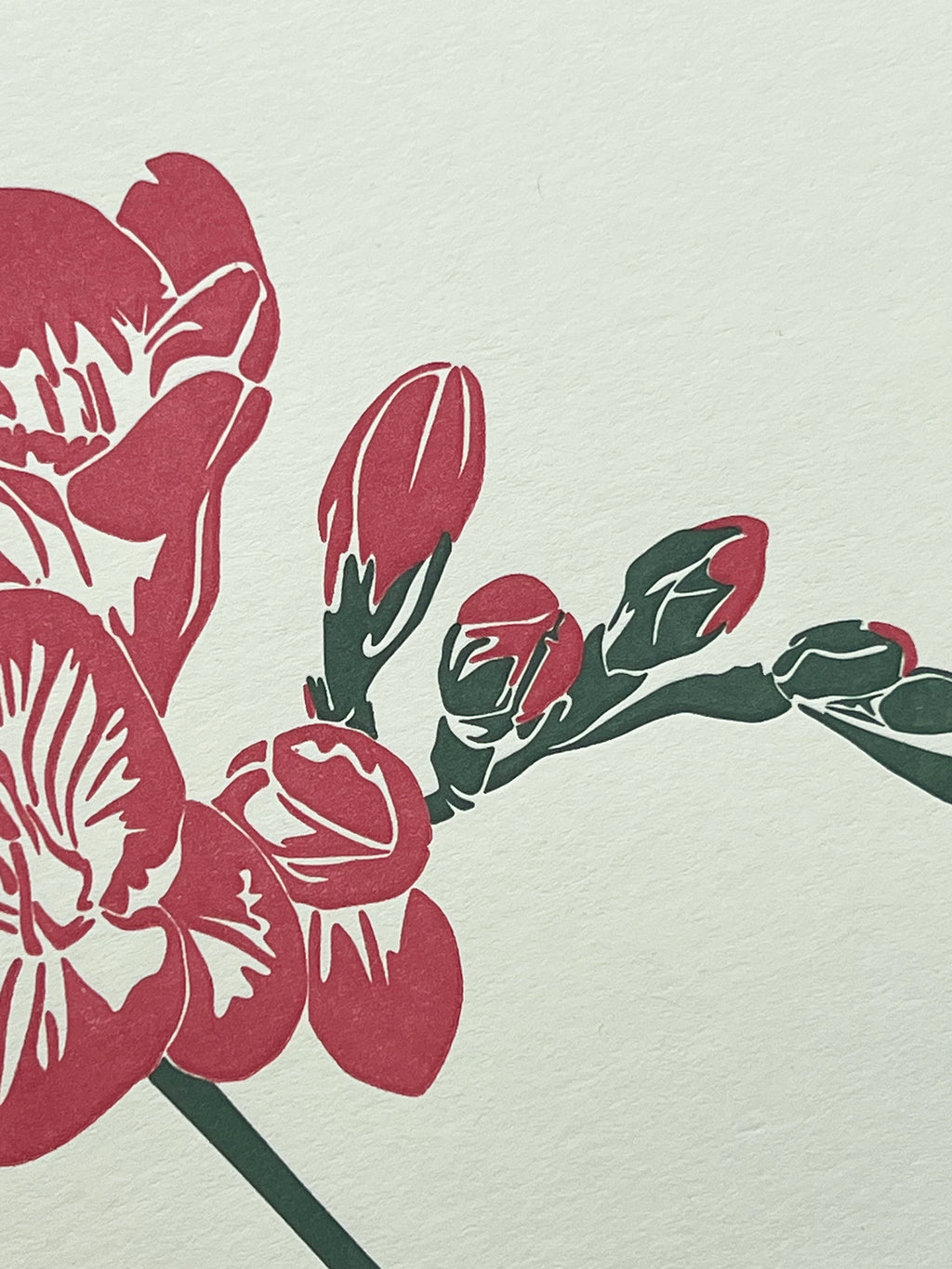 Pink Freesia Letterpress Card