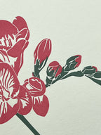 Pink Freesia Letterpress Card
