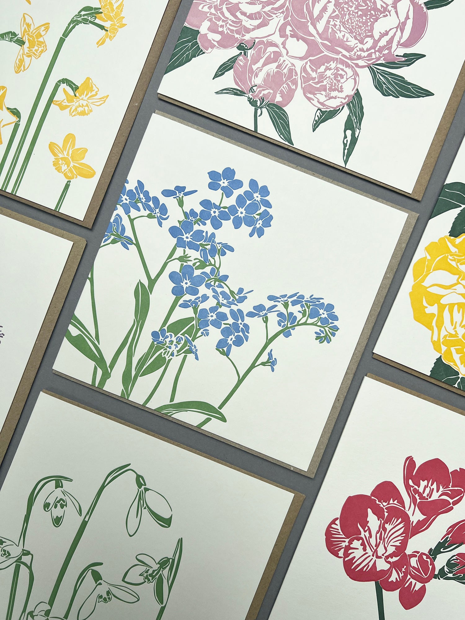 Forget-me-not Letterpress Card