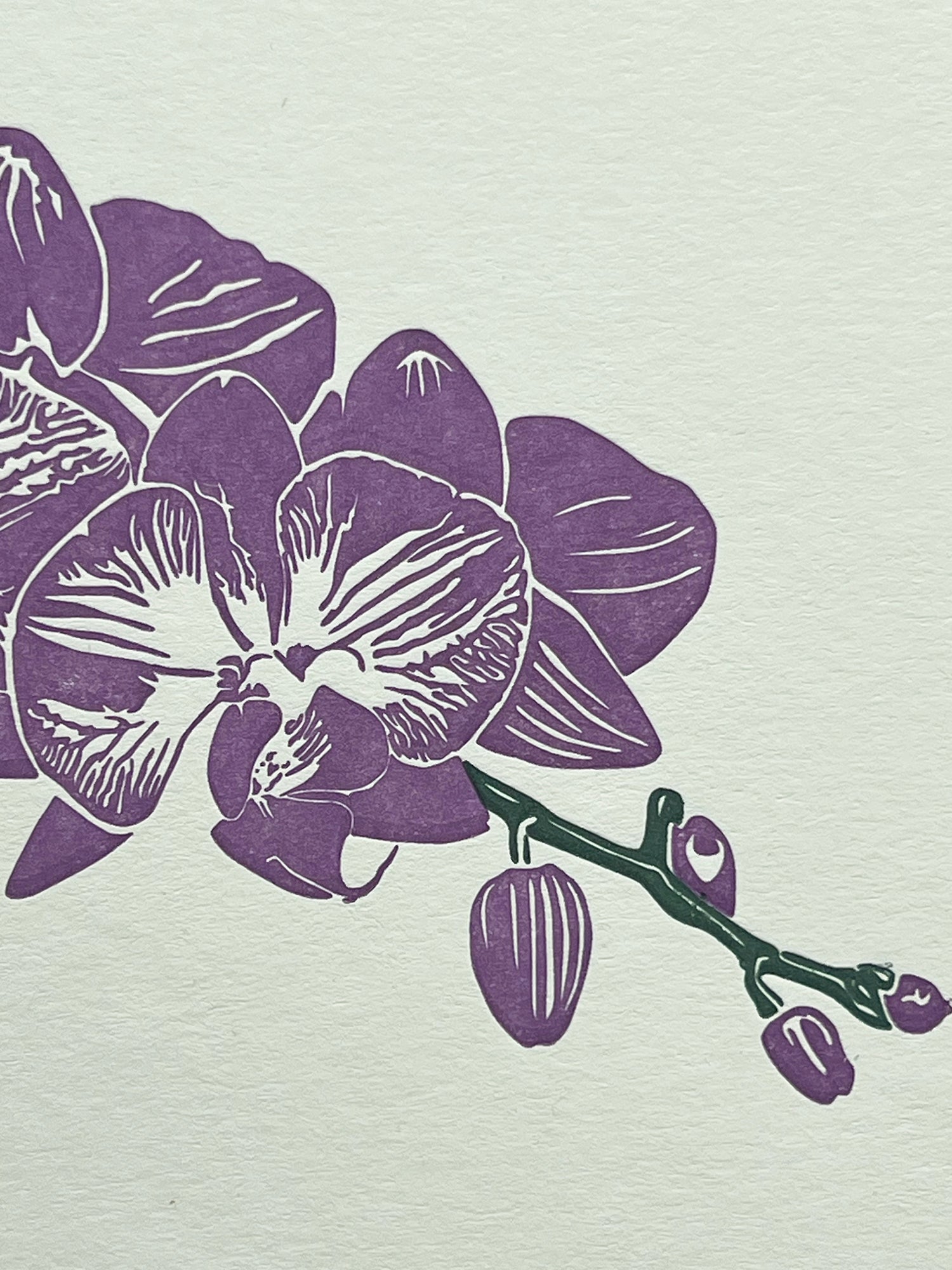 Orchid Letterpress Card