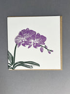 Orchid Letterpress Card