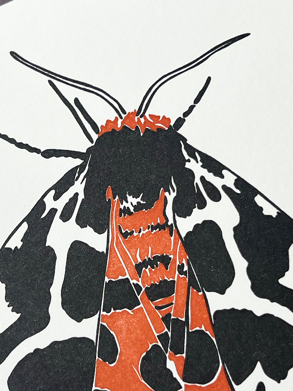 Garden Tiger Moth Letterpress Card