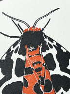 Garden Tiger Moth Letterpress Card