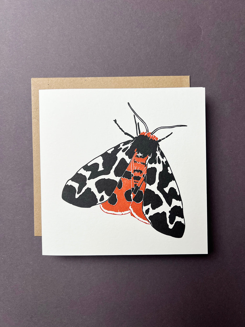 Garden Tiger Moth Letterpress Card