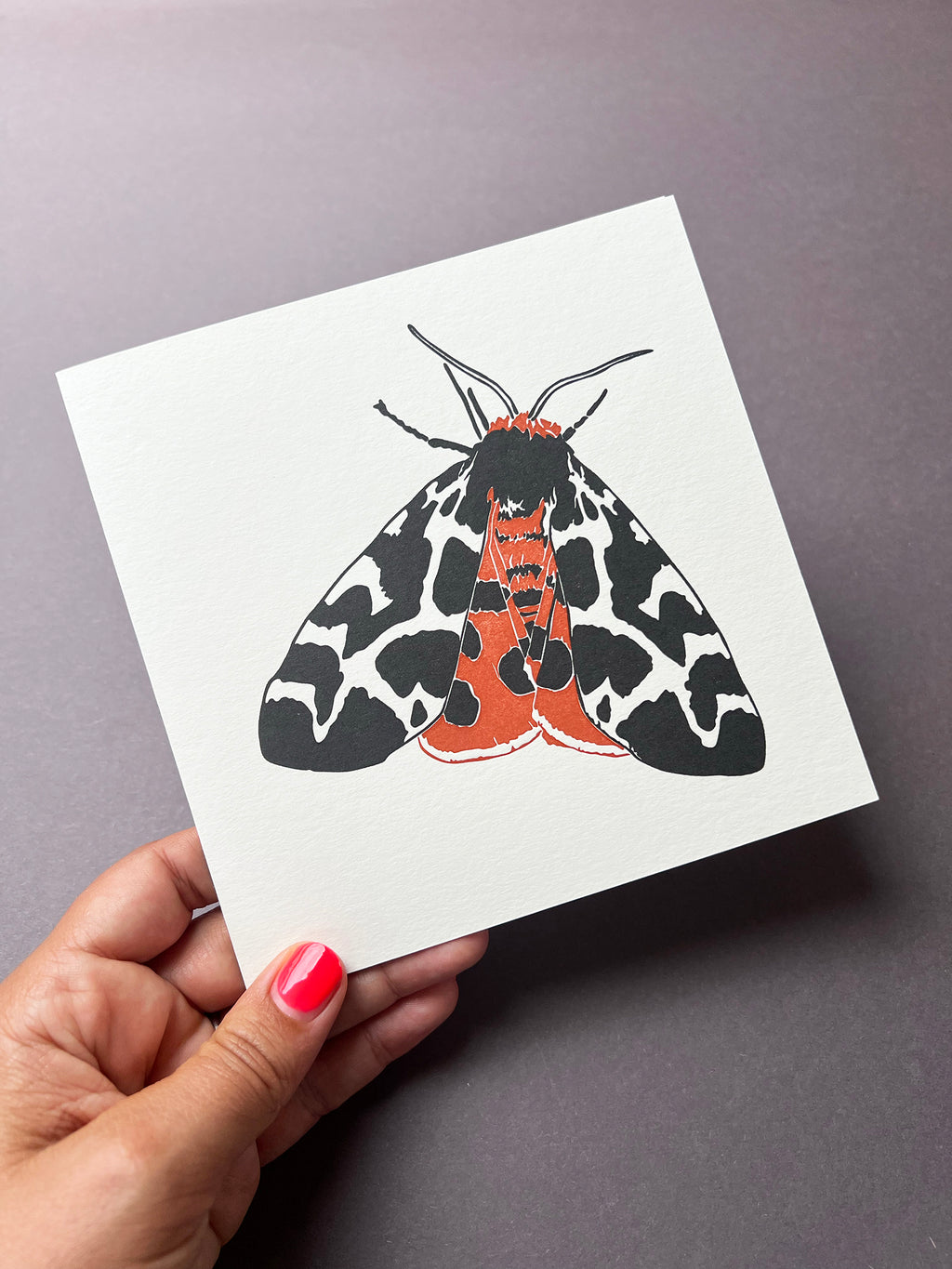 Garden Tiger Moth Letterpress Card