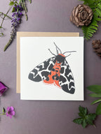 Garden Tiger Moth Letterpress Card