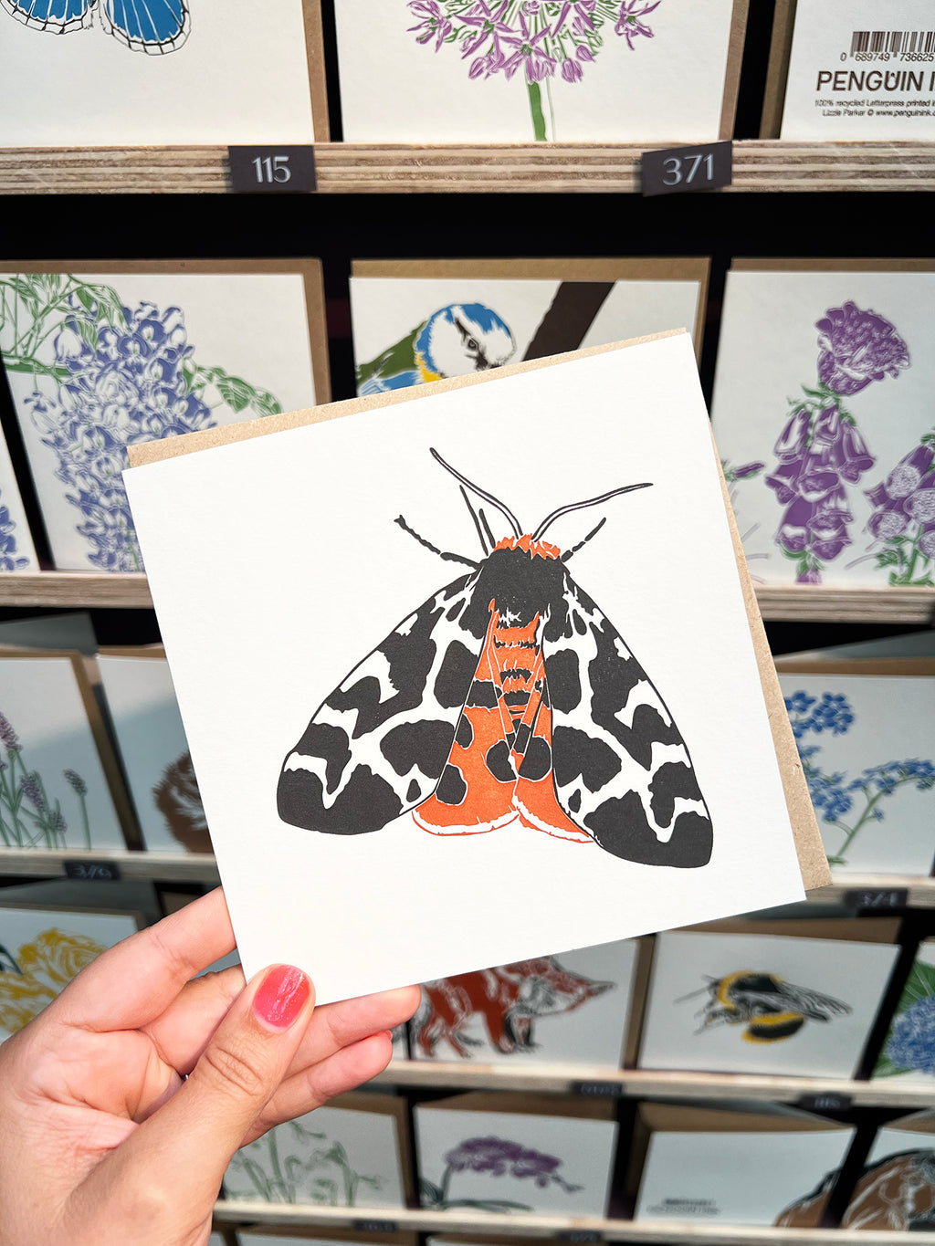 Garden Tiger Moth Letterpress Card