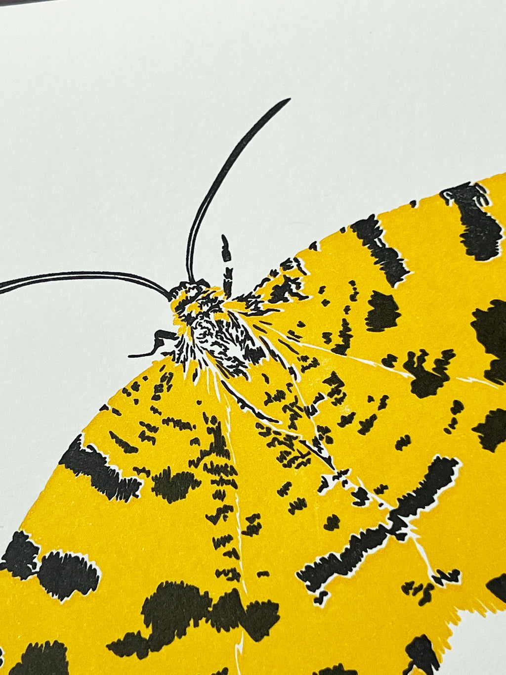 Speckled Yellow Moth Letterpress Card