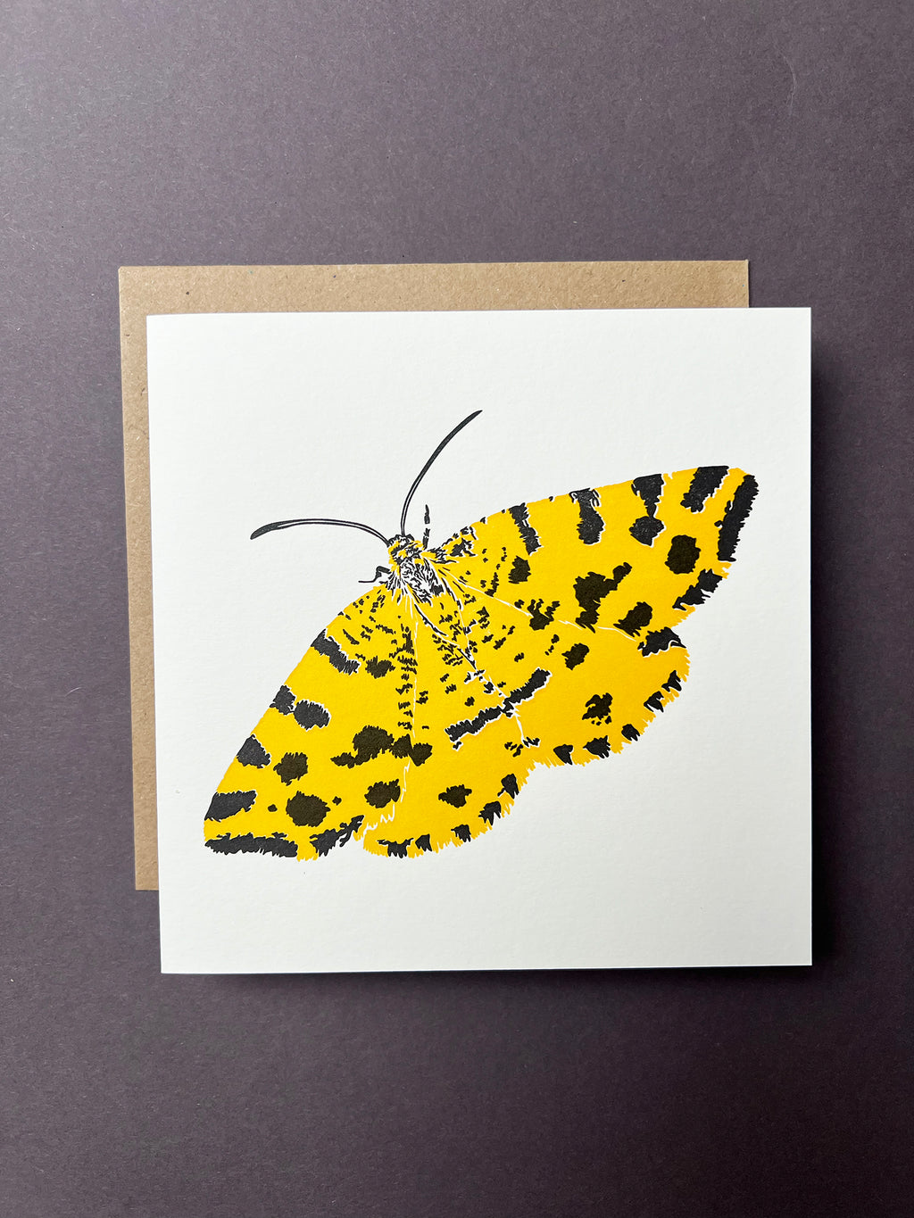 Speckled Yellow Moth Letterpress Card