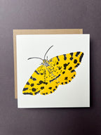 Speckled Yellow Moth Letterpress Card
