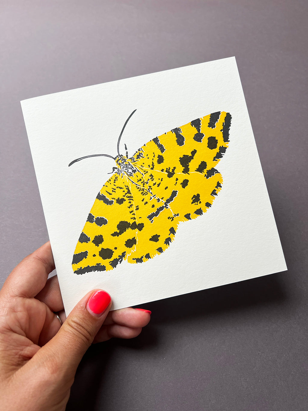 Speckled Yellow Moth Letterpress Card