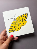Speckled Yellow Moth Letterpress Card