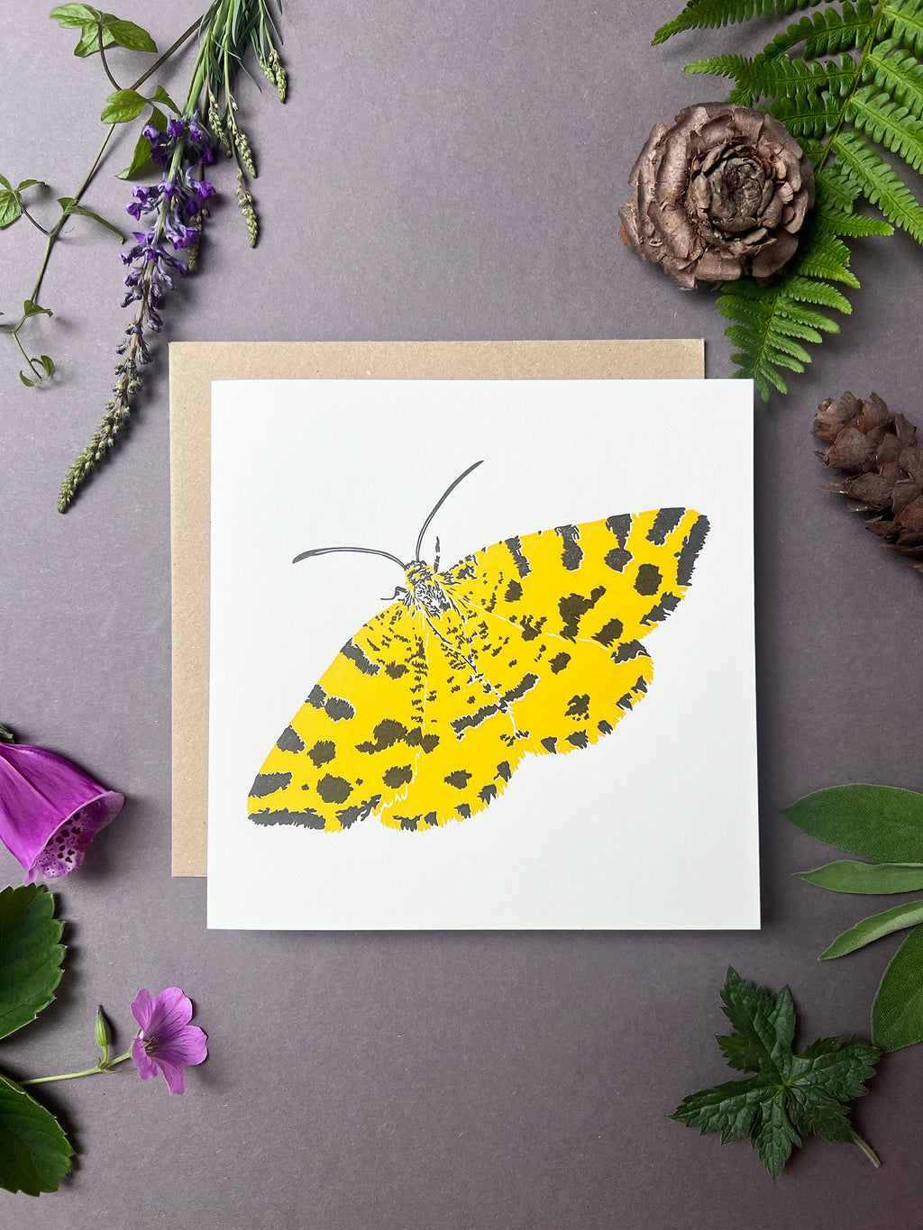 Speckled Yellow Moth Letterpress Card