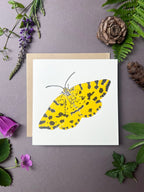 Speckled Yellow Moth Letterpress Card