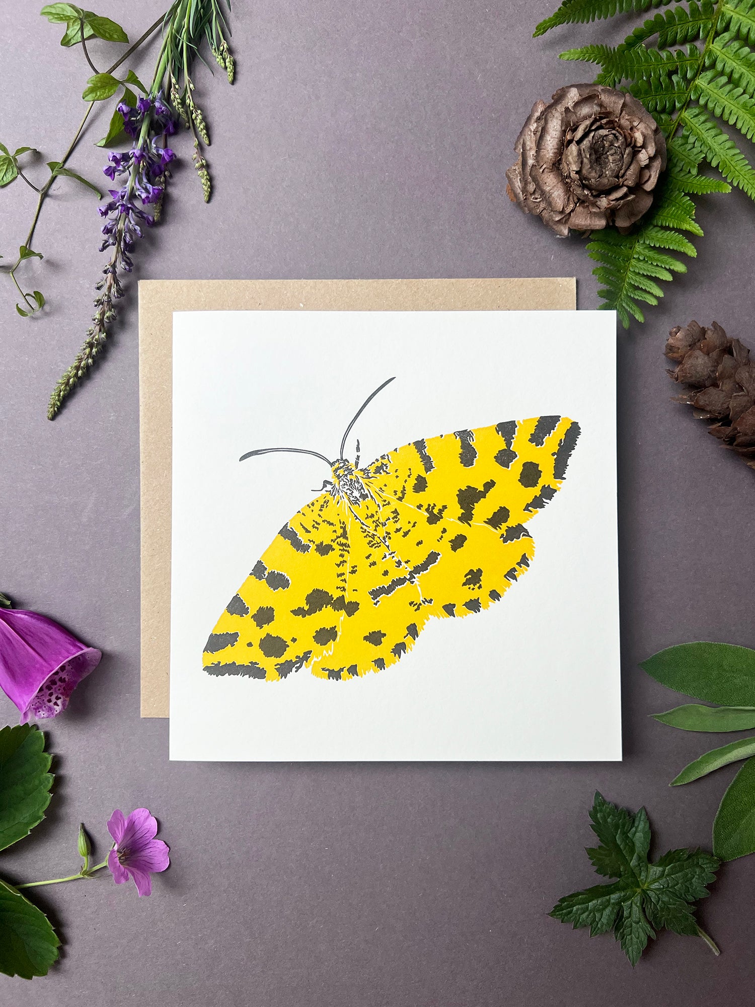Speckled Yellow Moth Letterpress Card