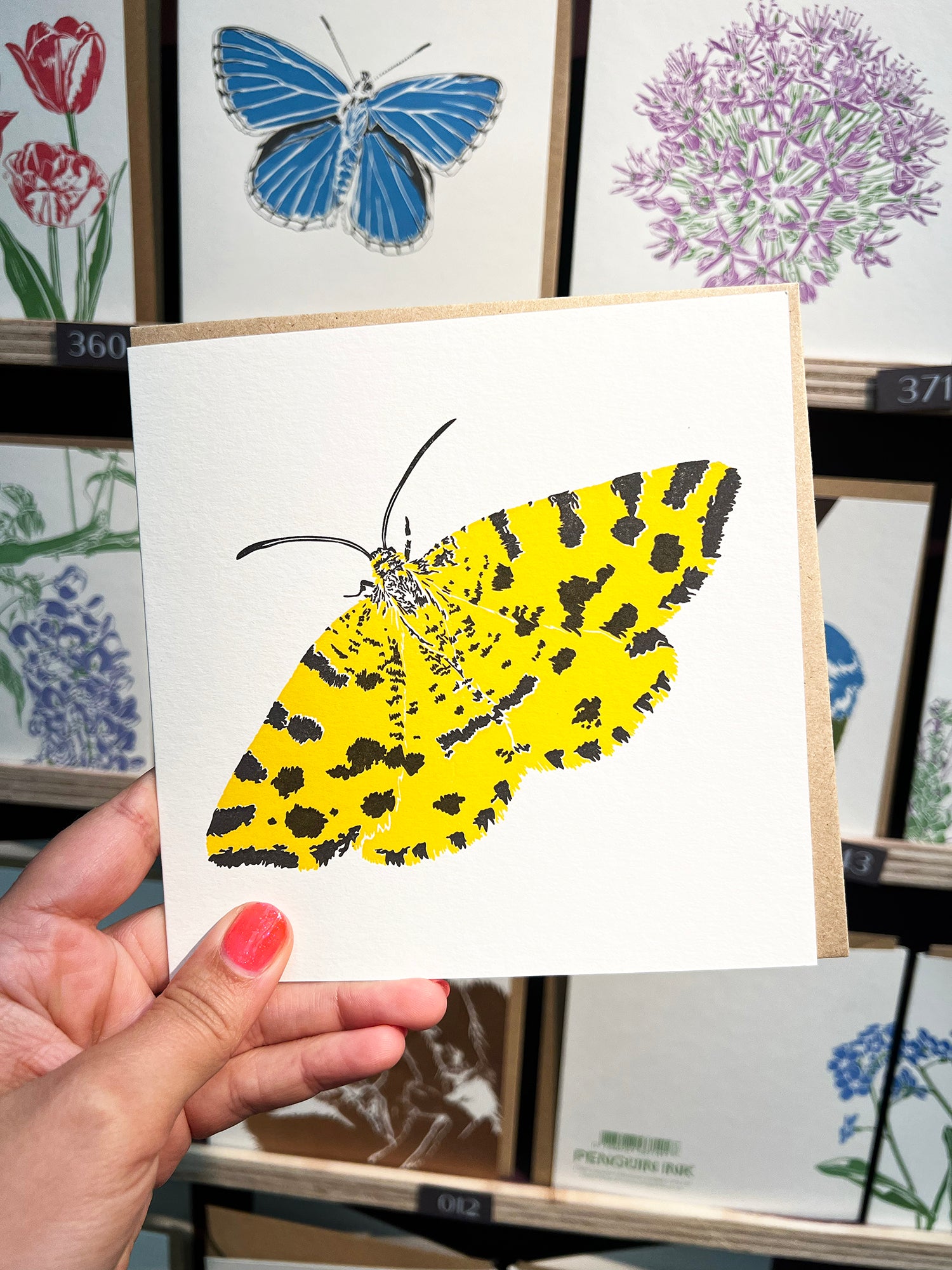 Speckled Yellow Moth Letterpress Card