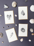 Seaside Treasures Notecard Set | Set of 8