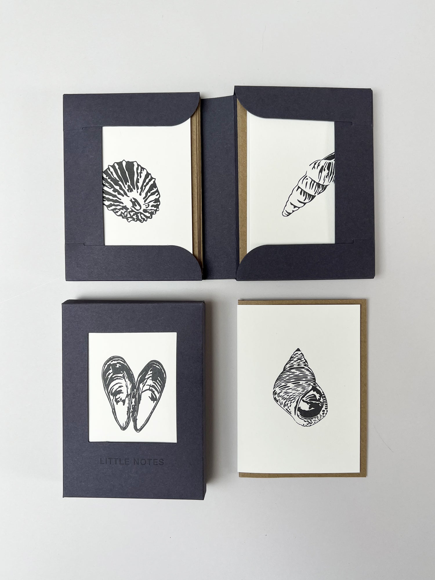 Seaside Treasures Notecard Set | Set of 8