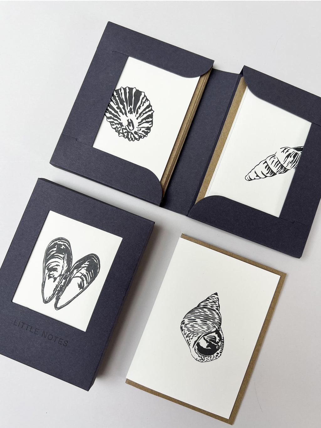 Seaside Treasures Notecard Set | Set of 8