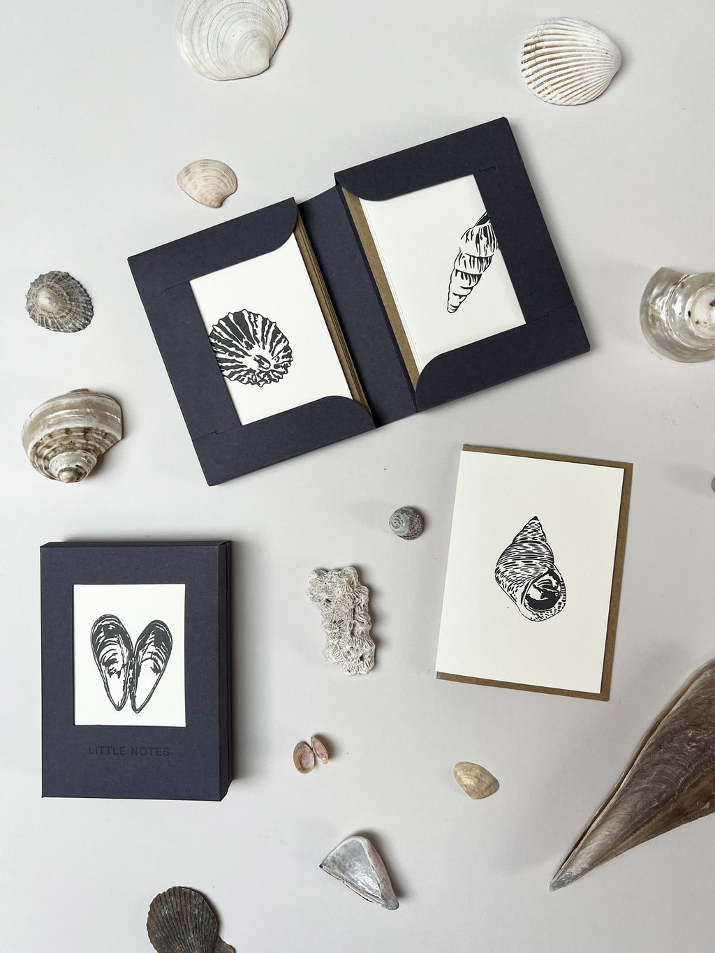 Seaside Treasures Notecard Set | Set of 8