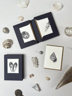 Seaside Treasures Notecard Set | Set of 8