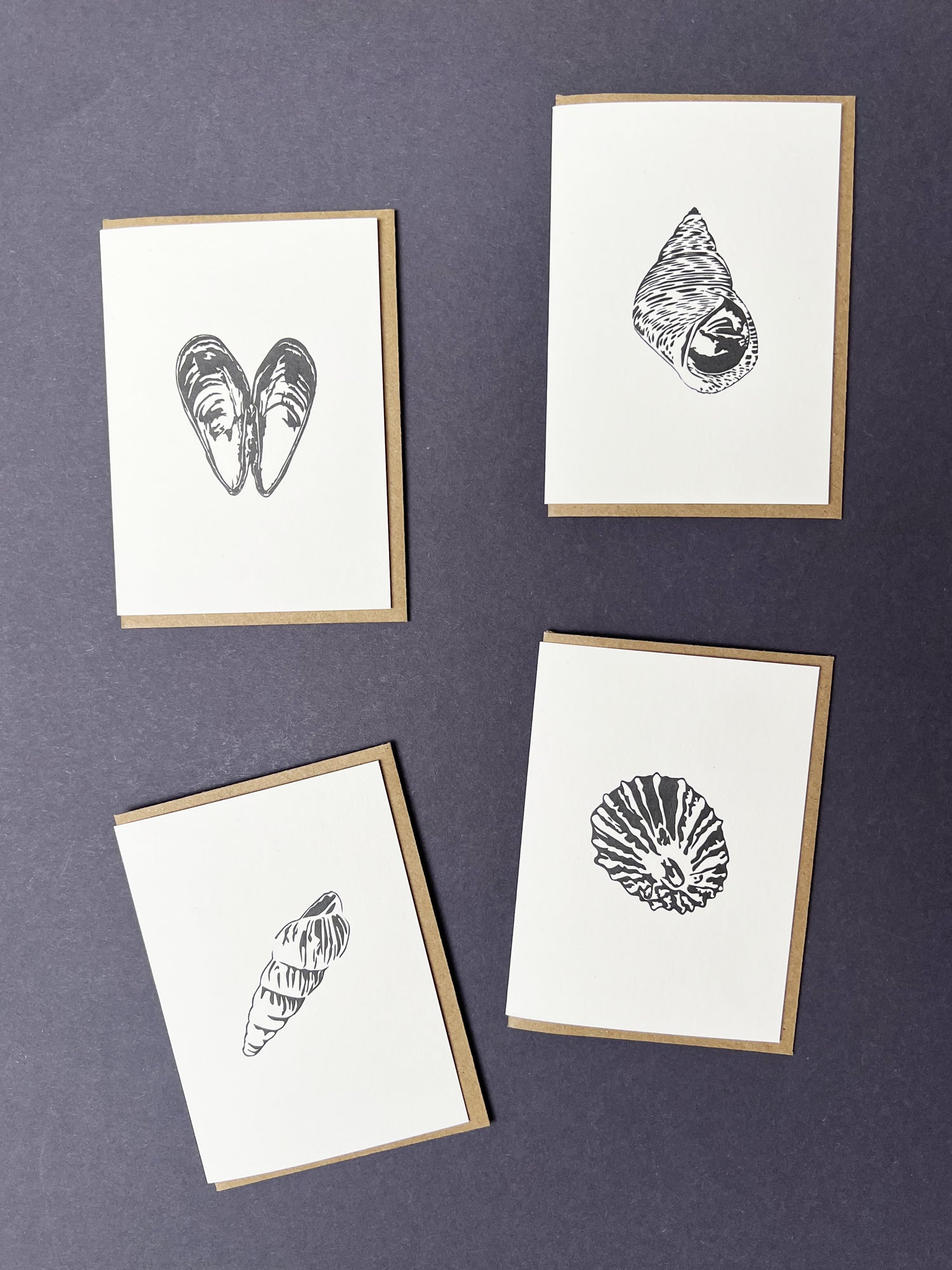 Seaside Treasures Notecard Set | Set of 8