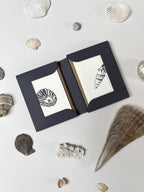 Seaside Treasures Notecard Set | Set of 8