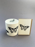 Swallowtail Butterfly Card