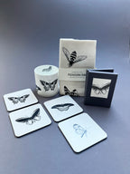 Birdwing Butterfly Card