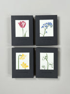 Flora Notecard Set | Set of 8