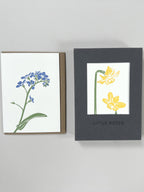 Flora Notecard Set | Set of 8