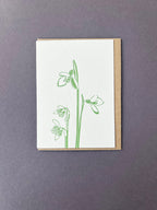 Snowdrops Card