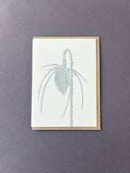 Teasel Card