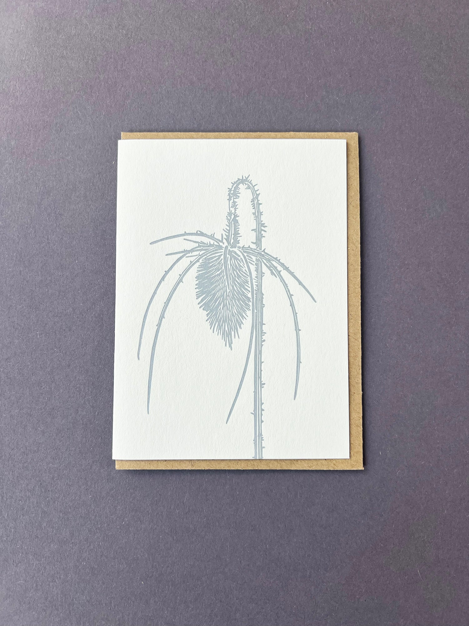 Teasel Card