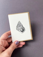Periwinkel Card