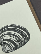 Clam Card
