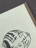 Winkle Card