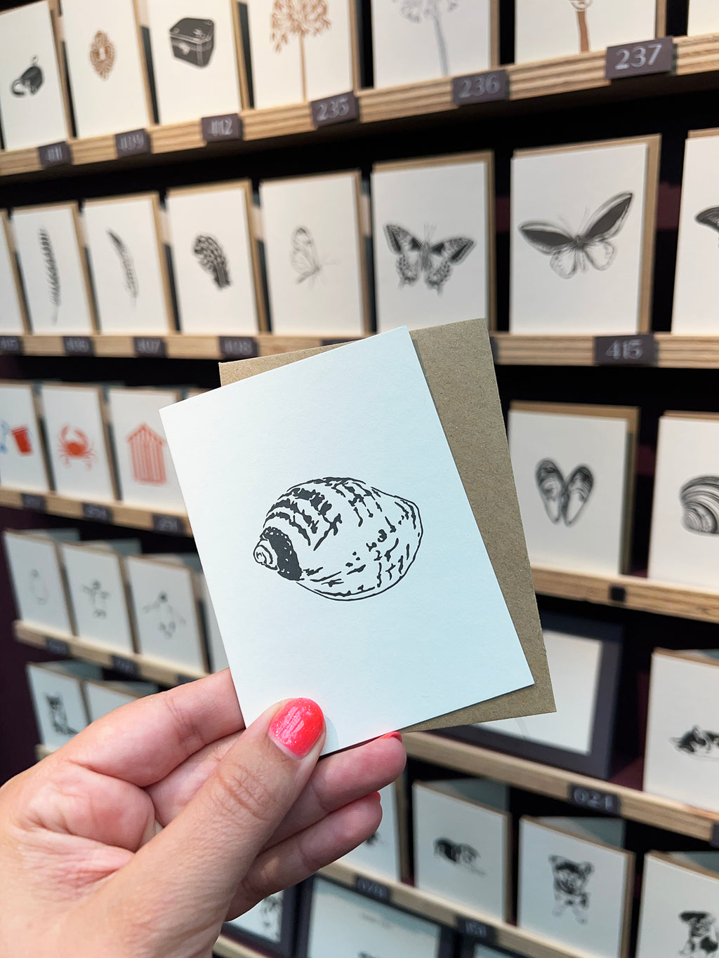 Winkle Card