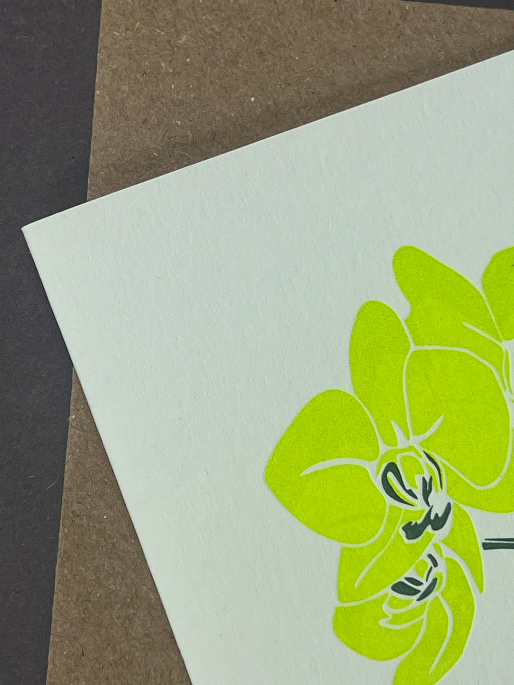 Moth Orchid Card