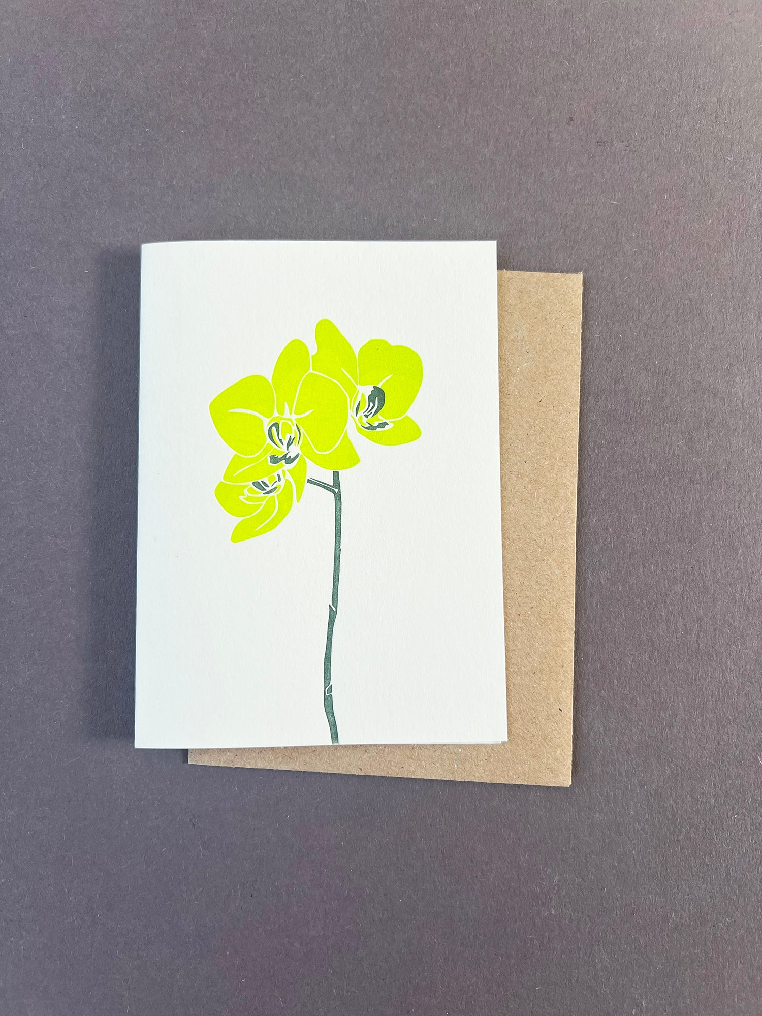 Moth Orchid Card