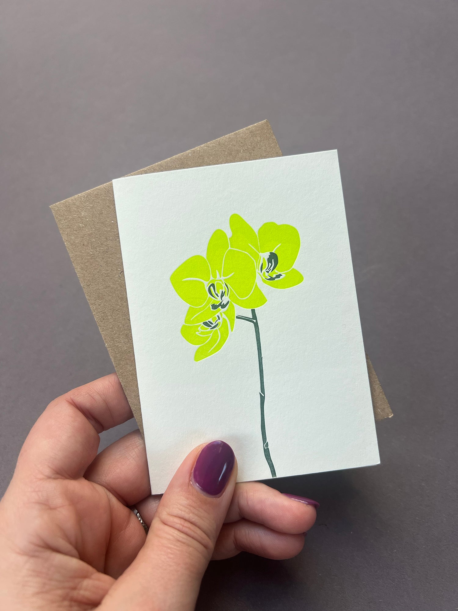 Moth Orchid Card
