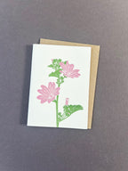 Mallow Card