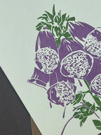 Foxglove Card