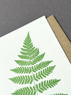 Royal Fern Card