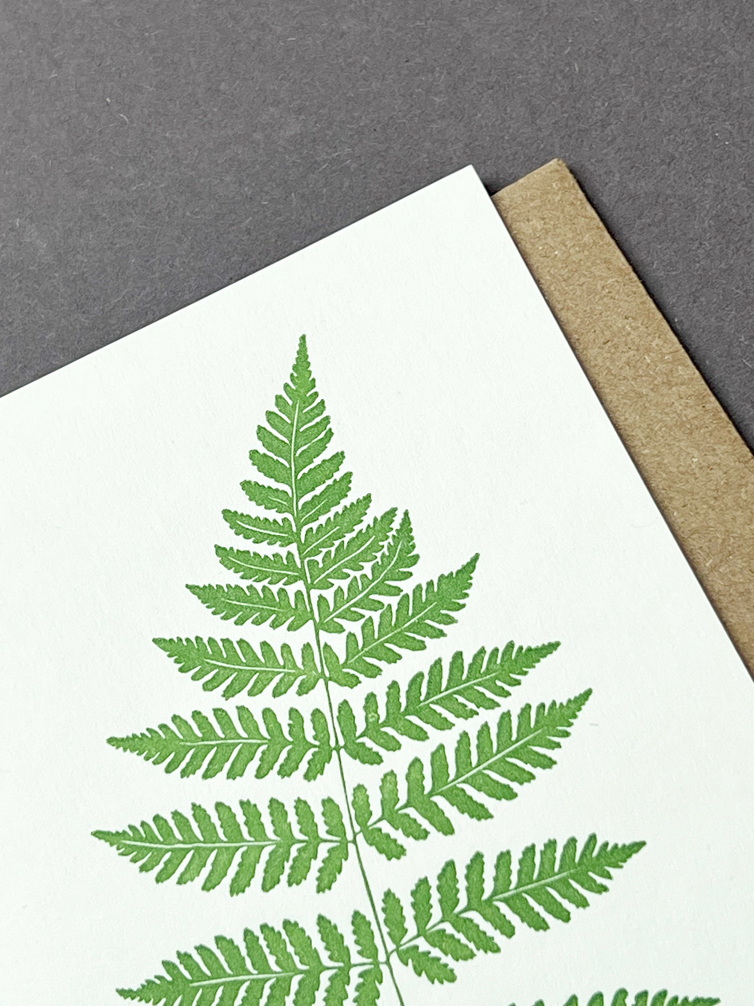 Royal Fern Card