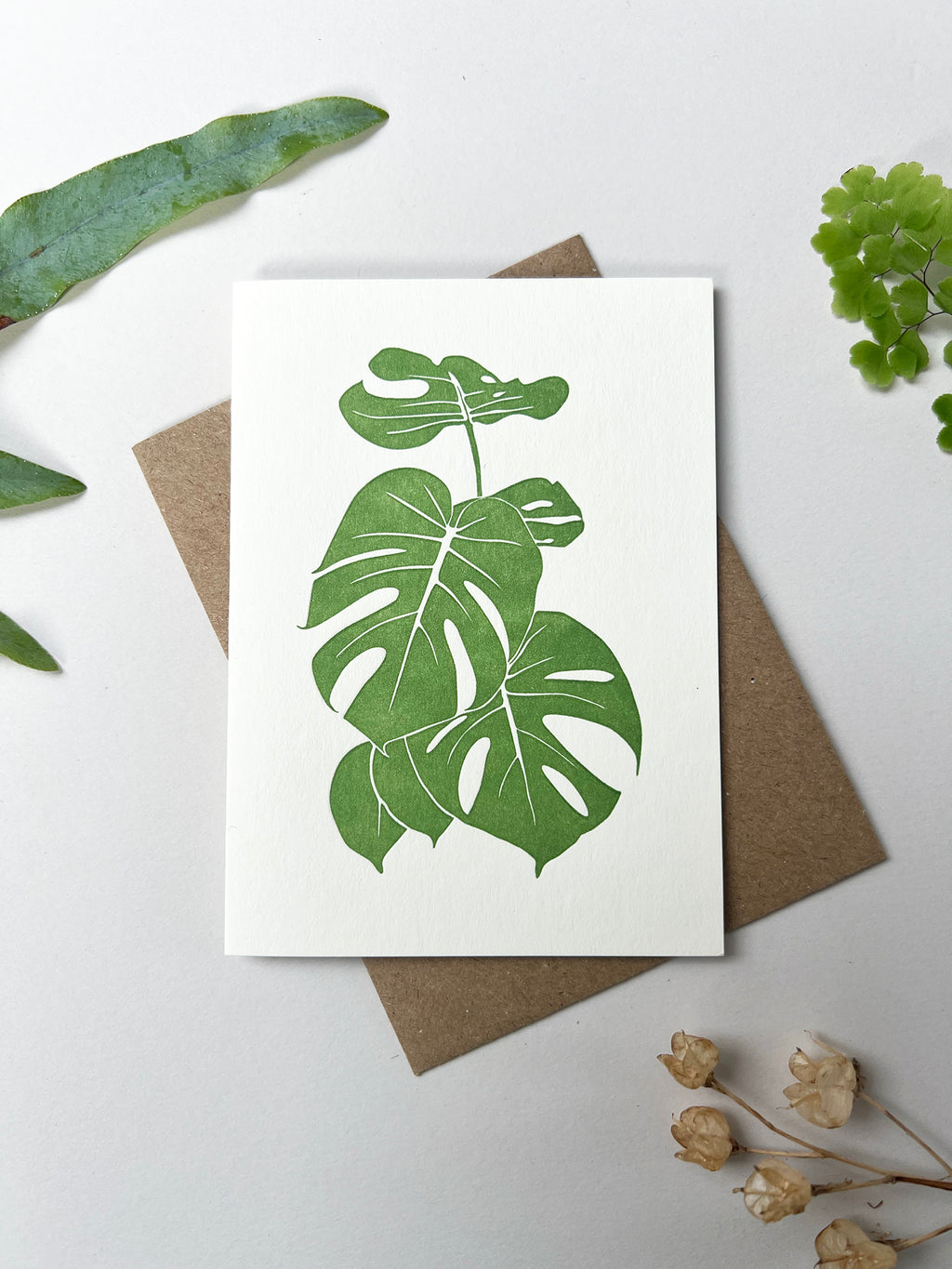 Monstera Card