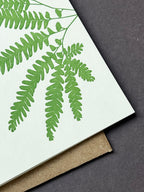 Maidenhair Fern Card